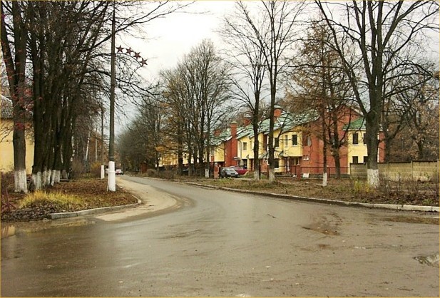 Улица Пушковых в Троицке